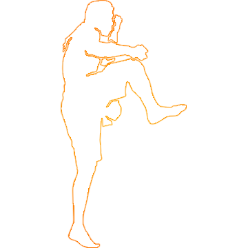 Ícone Studio CW Muaythai 5