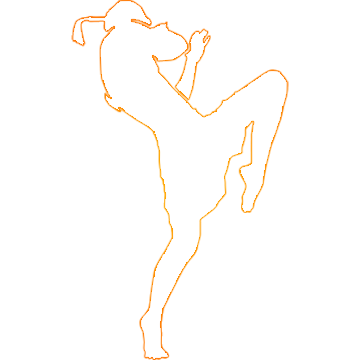 Ícone Studio CW Muaythai 2